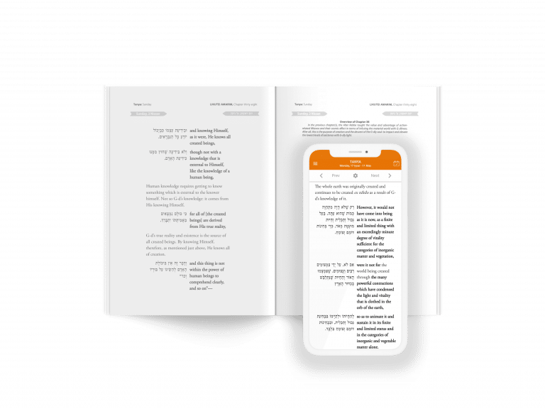 Main Challenges Showcase